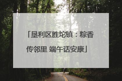 垦利区胜坨镇：粽香传邻里 端午话安康